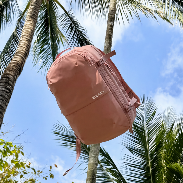 Le Sac qui Voyage à ta Place. Sans Soute. Sans Limite